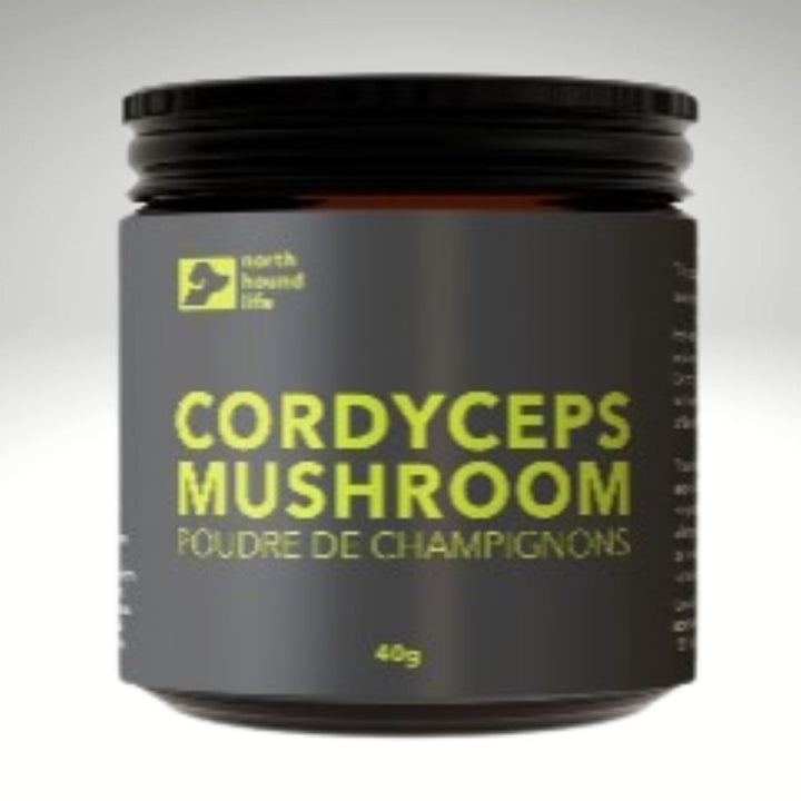 Cordyceps Mushroom-Organic Dog Supplement