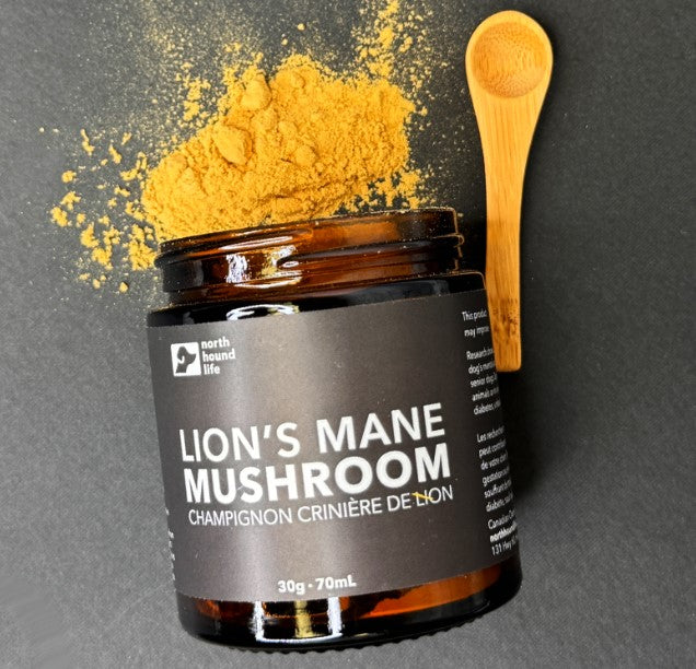 Lion's Mane Mushroom- Organic Dog Supplement