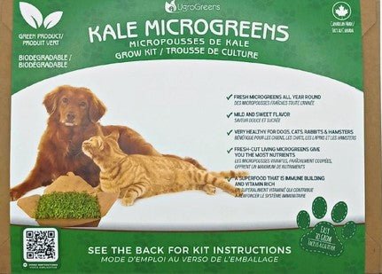 Kale Microgreens Pet Kit - Gideon and Sadie Posh Dogs