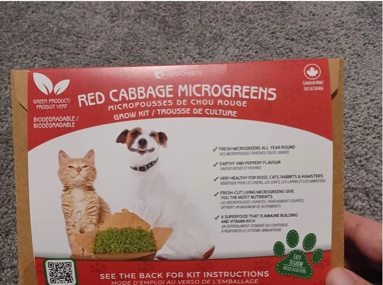 Red Cabbage Microgreens Pet Kit - Gideon and Sadie Posh Dogs