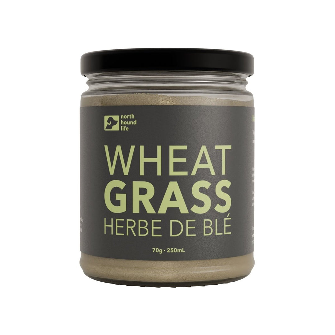 Wheatgrass Superfood - Gideon and Sadie Posh Dogs